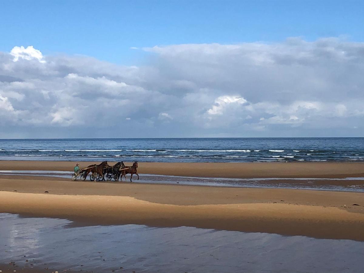 Maison Proche Omaha Beach Vue Imprenable Sur Haras Etreham Zewnętrze zdjęcie